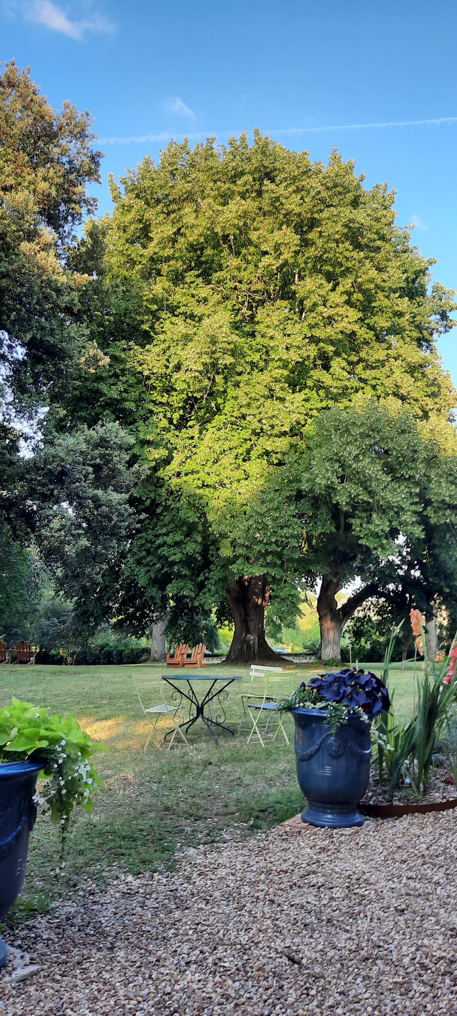 Photo n° 17 de l'avis de Anne-France.a fait le 20/08/2021 à 10:52