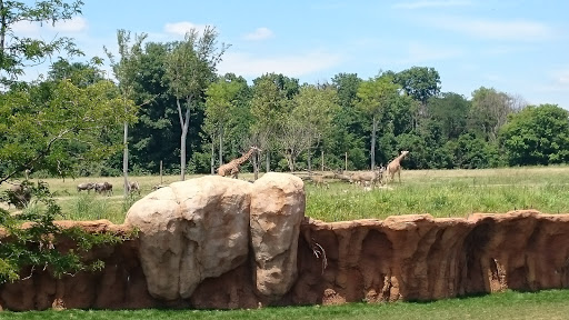 Golf Club «Safari Golf Club», reviews and photos, 4850 W Powell Rd, Powell, OH 43065, USA