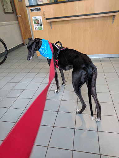 323 Bainbridge St, Philadelphia, PA 19147, USA