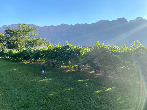 Winery «Spanish Valley Vineyard & Winery», reviews and photos, 4710 Zimmerman Ln, Moab, UT 84532, USA