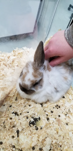 Pet Store «Inland Reef Pet Store», reviews and photos, 817 Cross Lanes Dr, Cross Lanes, WV 25313, USA