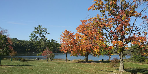 Nature Preserve «Maple Lake East - Mountain Bike Staging Area», reviews and photos, 9500 Willow Springs Rd, Willow Springs, IL 60480, USA