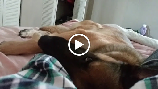 Lingerie Store «Cupids Lingerie», reviews and photos, 3920 W 65th St, Little Rock, AR 72209, USA