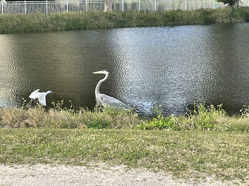 Golf Course «Sanibel Island Golf Club», reviews and photos, 1100 Par View Dr, Sanibel, FL 33957, USA