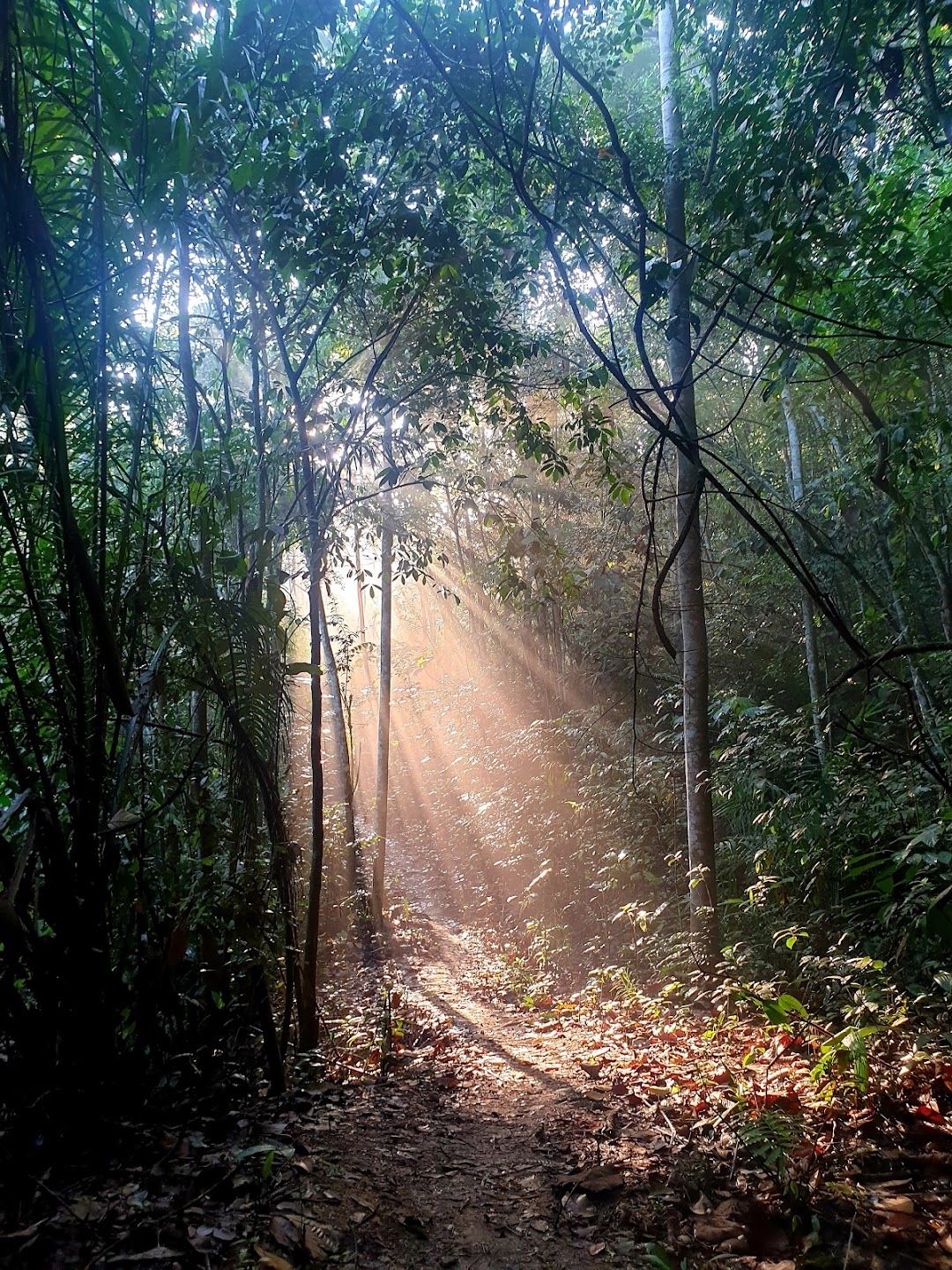 Bukit Serdang Hiking Trail