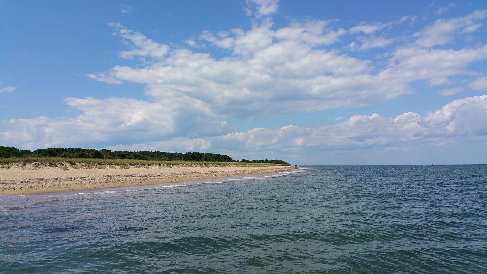 Foto von East Beach mit sehr sauber Sauberkeitsgrad