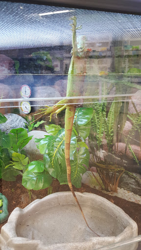 Pet Supply Store «Petco Animal Supplies», reviews and photos, 660 Chestnut Commons Dr, Elyria, OH 44035, USA