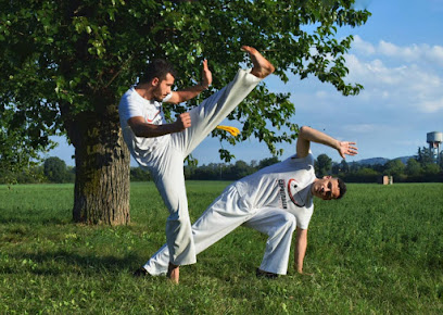 Capoeira Reggio Emilia Familia Irmãos Unidos (FIU - Via XX Settembre, 1/A, 42124 Reggio Emilia RE, Italy
