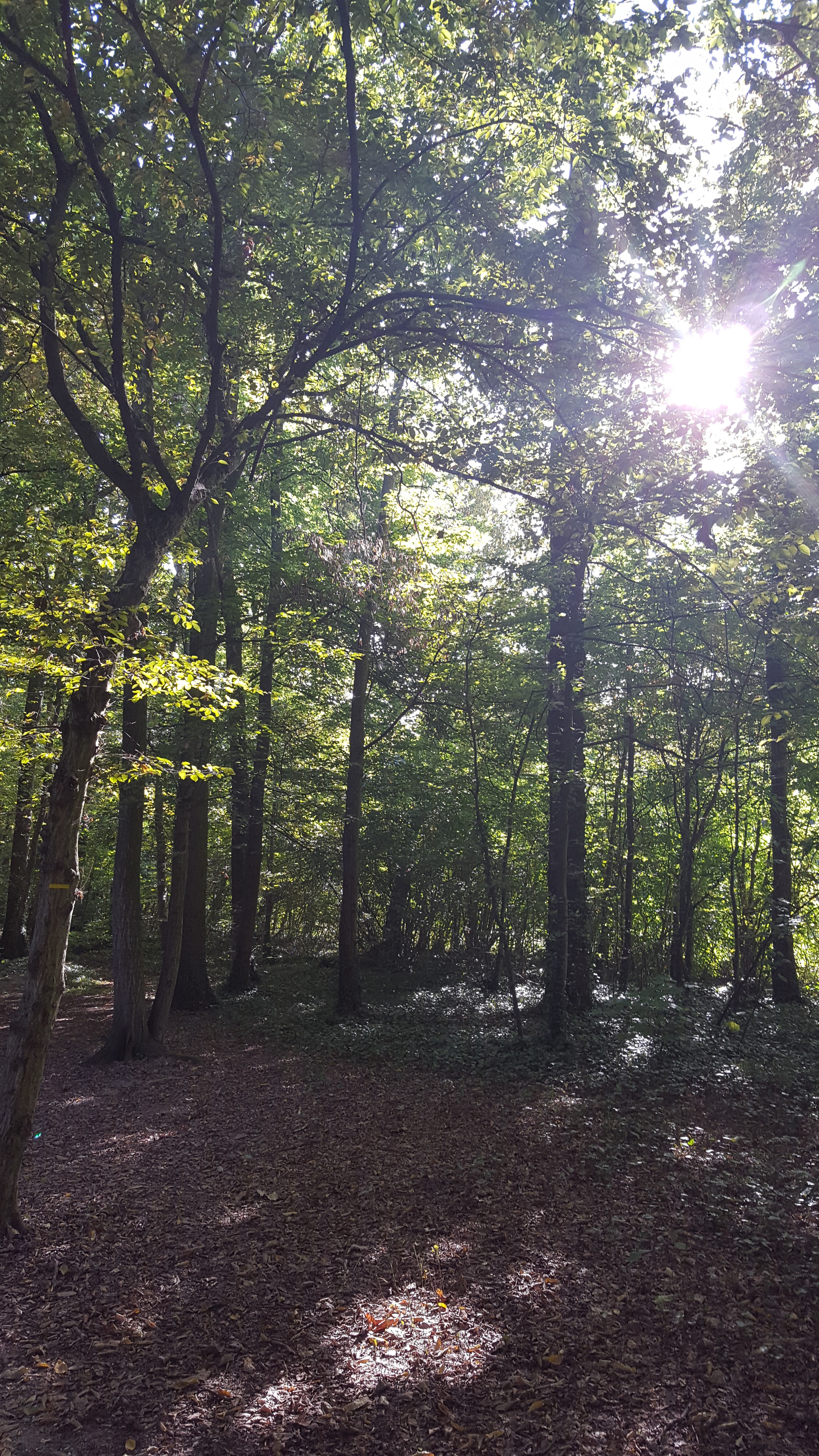 Photo n° 2 de l'avis de annass_ou. fait le 11/09/2018 à 14:54