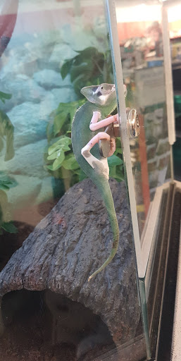 Pet Supply Store «Petco Animal Supplies», reviews and photos, 1209 New Brunswick Ave, Phillipsburg, NJ 08865, USA