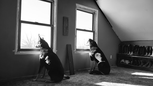 Roofing Contractor «Ganser Company», reviews and photos