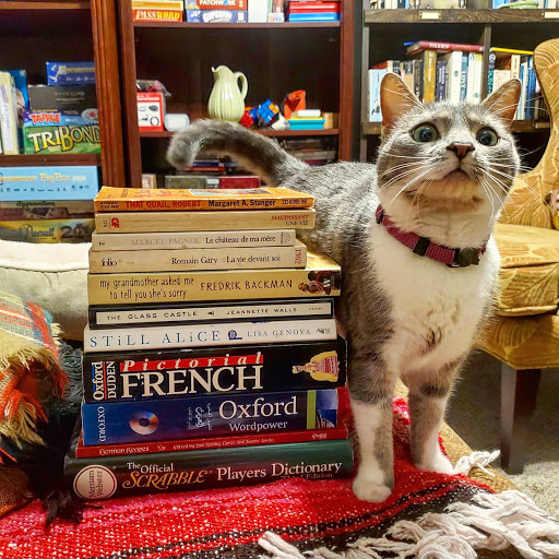 Used Book Store «Book Nook», reviews and photos, 143 Delaware Ave, Glen Burnie, MD 21061, USA