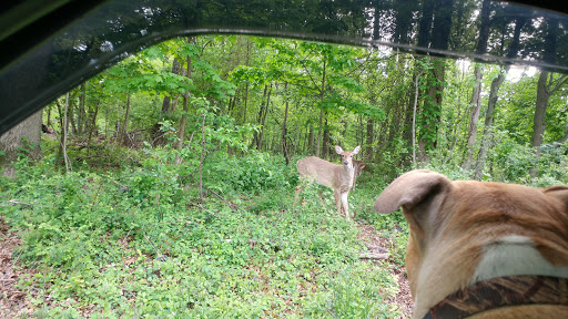 Park «Edison State Park», reviews and photos, 37 Christie St, Edison, NJ 08820, USA