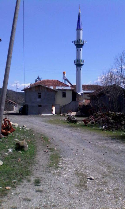 Alpagut Köyü Cami