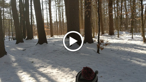 Disc Golf Course «Bellamy Park Disc Golf», reviews and photos, Bellamy Rd, Dover, NH 03820, USA