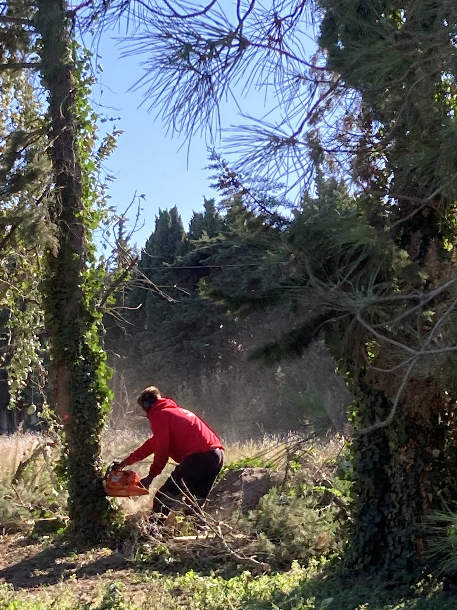 Photo n° 1 de l'avis de Xavier.A fait le 17/11/2021 à 21:13