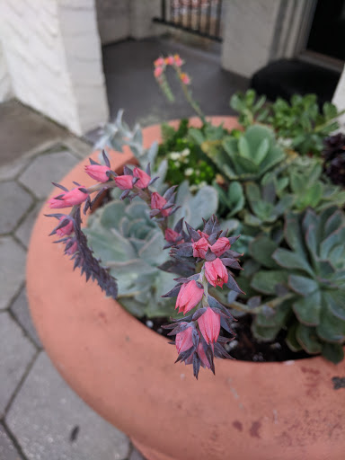 Coffee Shop «Bold Bean Coffee Roasters», reviews and photos, 869 Stockton St, Jacksonville, FL 32204, USA