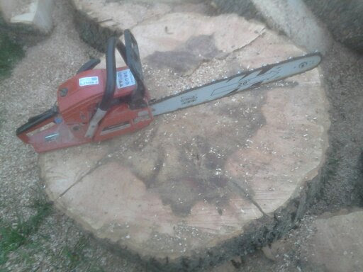 Delaney Tree Cutting Services