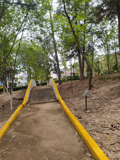 Bosque Lázaro Cárdenas