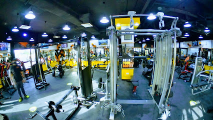 Cityman Power Gym & Fitness - Satwa - Al Satwa - Dubai - United Arab Emirates