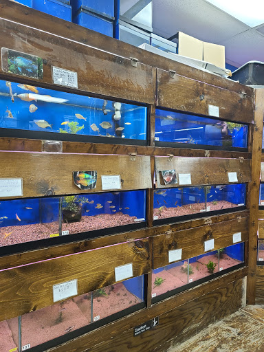 Pet Supply Store «Tropical World Pets», reviews and photos, 8444 Watson Rd, Webster Groves, MO 63119, USA
