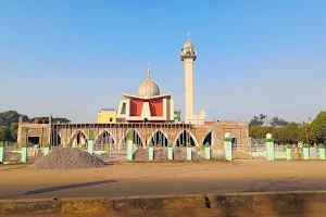 Jama Masjid image