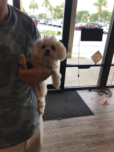 Boxing Gym «TITLE Boxing Club - Winter Park», reviews and photos, 1997 Aloma Ave, Winter Park, FL 32792, USA