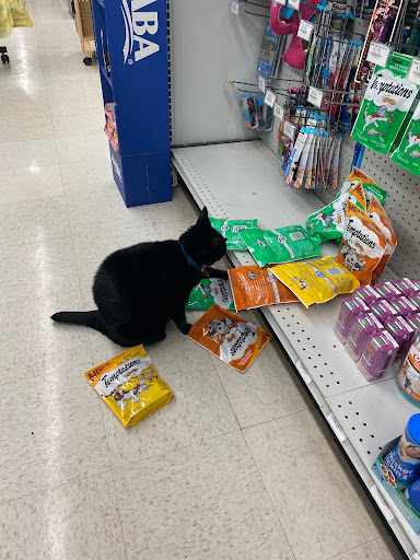 Concord Pet Foods & Supplies, 2062 Newark Rd, West Grove, PA 19390, USA, 