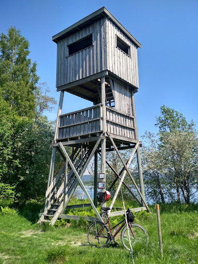 Årnestangen fugletårn