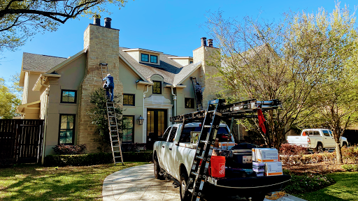 Houston Bat Removal