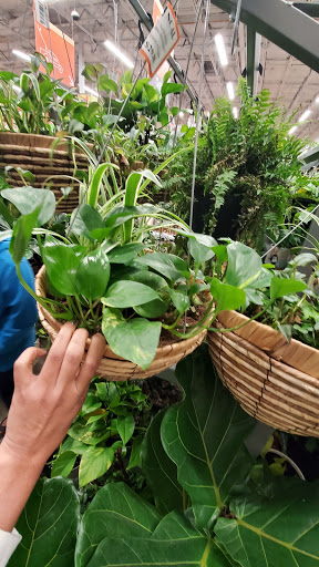 Home Improvement Store «The Home Depot», reviews and photos, 43900 Ice House Terrace, Fremont, CA 94538, USA