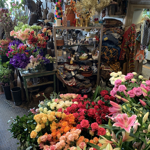 Florist «Green Inc», reviews and photos, 1718 N Wells St, Chicago, IL 60614, USA
