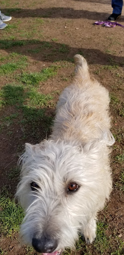 Park «Memorial Field Park», reviews and photos, 46 Lower Rd, Linden, NJ 07036, USA