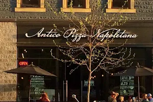 Antico Pizza Napoletana image