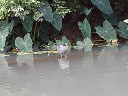 Winery «Three Dudes Winery», reviews and photos, 125 Old Martindale Rd, San Marcos, TX 78666, USA