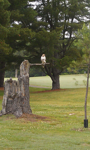 Golf Course «Swan Lake Golf Course», reviews and photos, 581 Dunbar Cave Rd, Clarksville, TN 37043, USA