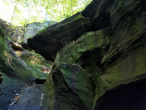 Campground «Fallen Rock Park Restaurant», reviews and photos, 8816 Fallen Rock Rd, Brazil, IN 47834, USA