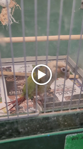 Pet Supply Store «Pet Supplies Plus», reviews and photos, 2057 S Telegraph Rd, Bloomfield Hills, MI 48302, USA