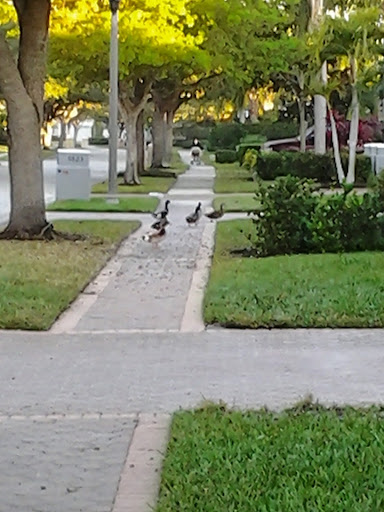 Private Golf Course «Bayou Club», reviews and photos, 7979 Bayou Club Blvd, Largo, FL 33777, USA