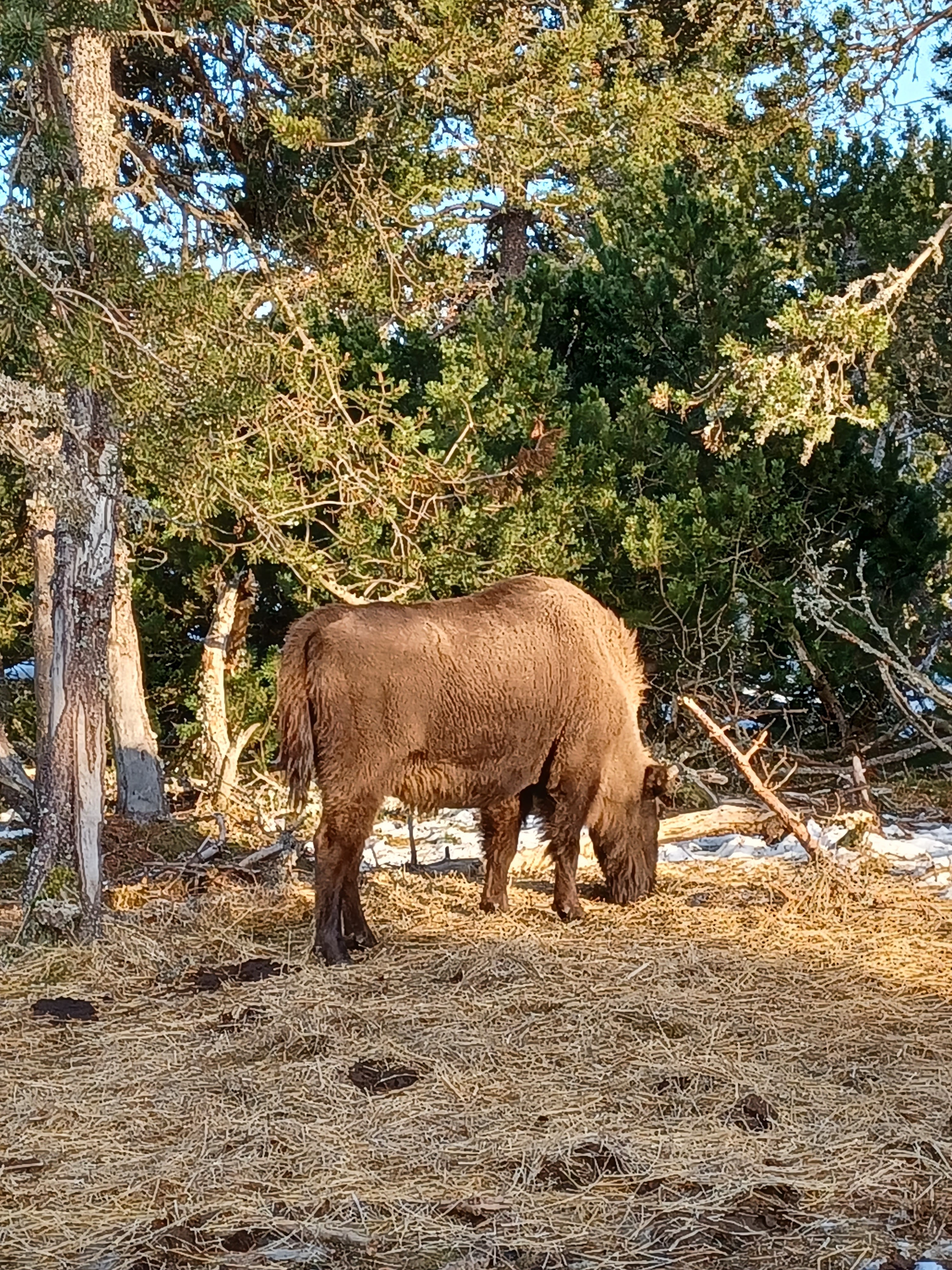 Photo n° 2 de l'avis de Isabelle.o fait le 23/02/2022 à 12:58