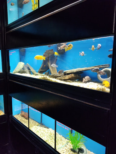 Pet Supply Store «Pet Goods», reviews and photos, 10 Commerce Blvd, Succasunna, NJ 07876, USA