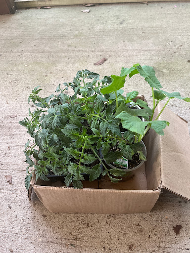 Home Improvement Store «The Home Depot», reviews and photos, 40 Park Pl Dr, Covington, LA 70433, USA