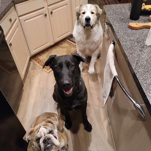 Pet Supply Store «Pets Barn», reviews and photos, 2765 FM3009, Schertz, TX 78154, USA