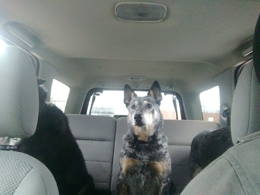 Pet Supply Store «Mounds Pet Food Warehouse», reviews and photos, 2110 S Stoughton Rd, Madison, WI 53716, USA