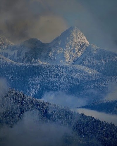 Photos of Burnaby Mountain