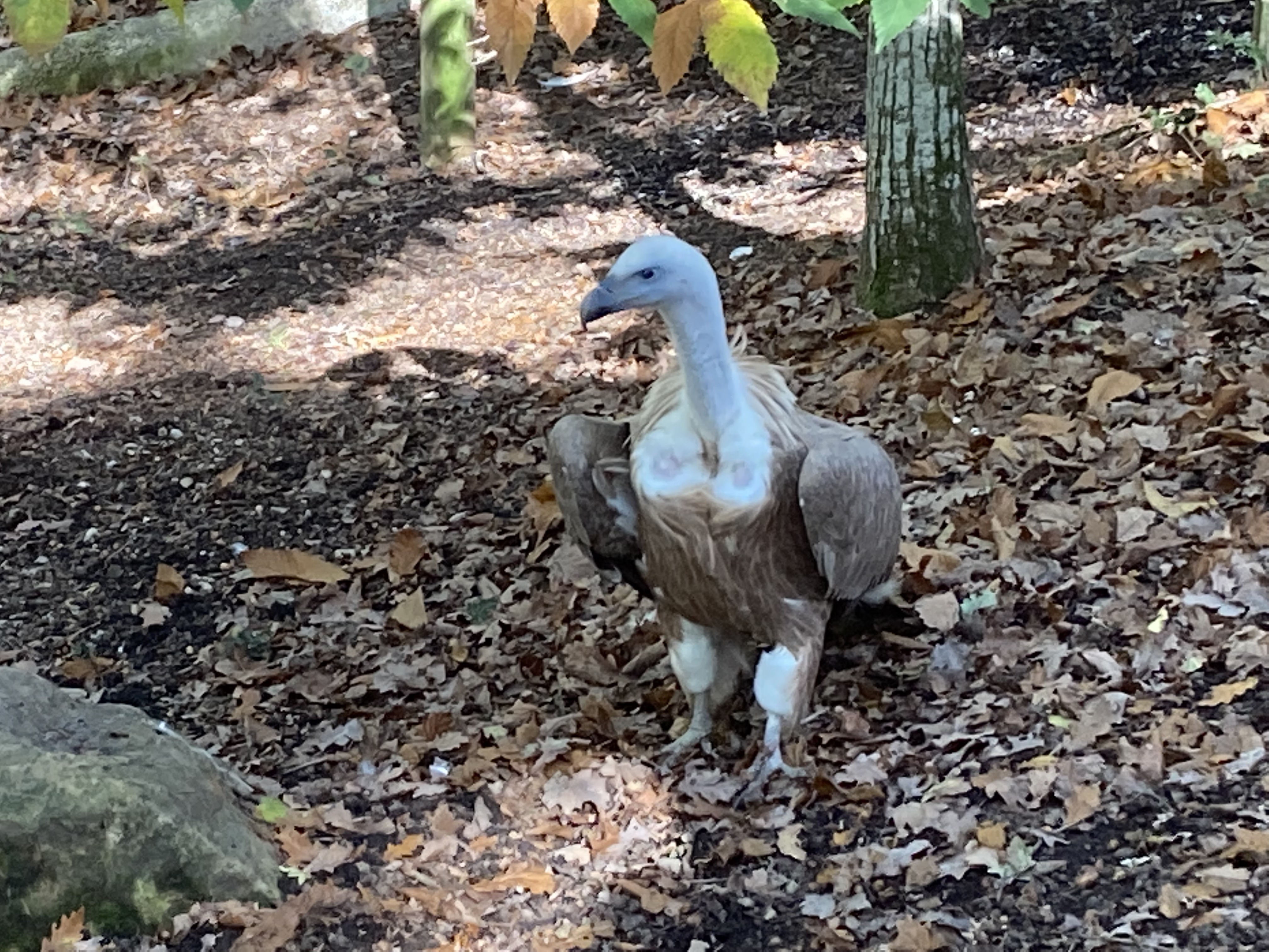 Photo n° 4 de l'avis de Rutger.a fait le 26/10/2022 à 13:14