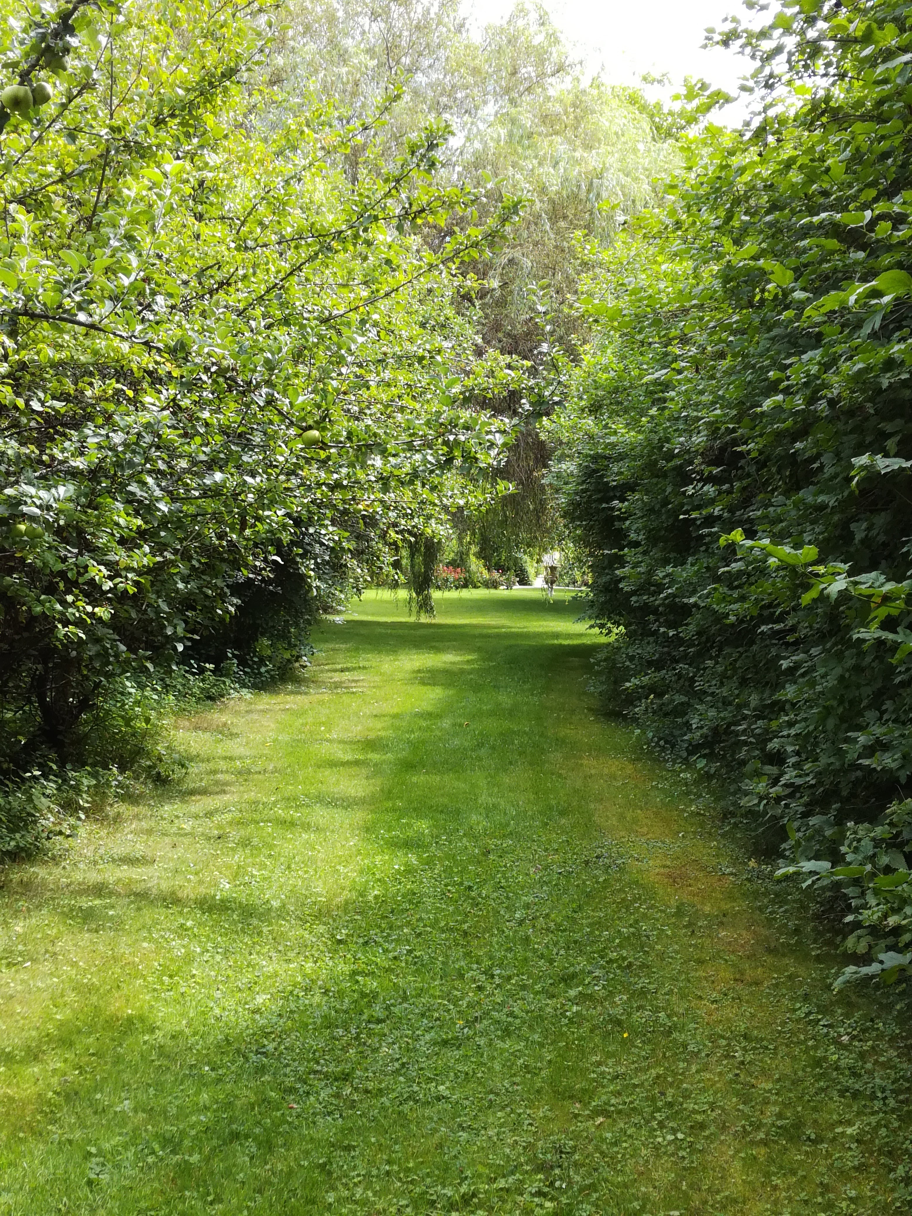 Photo n° 9 de l'avis de mm.z fait le 29/07/2017 à 11:47