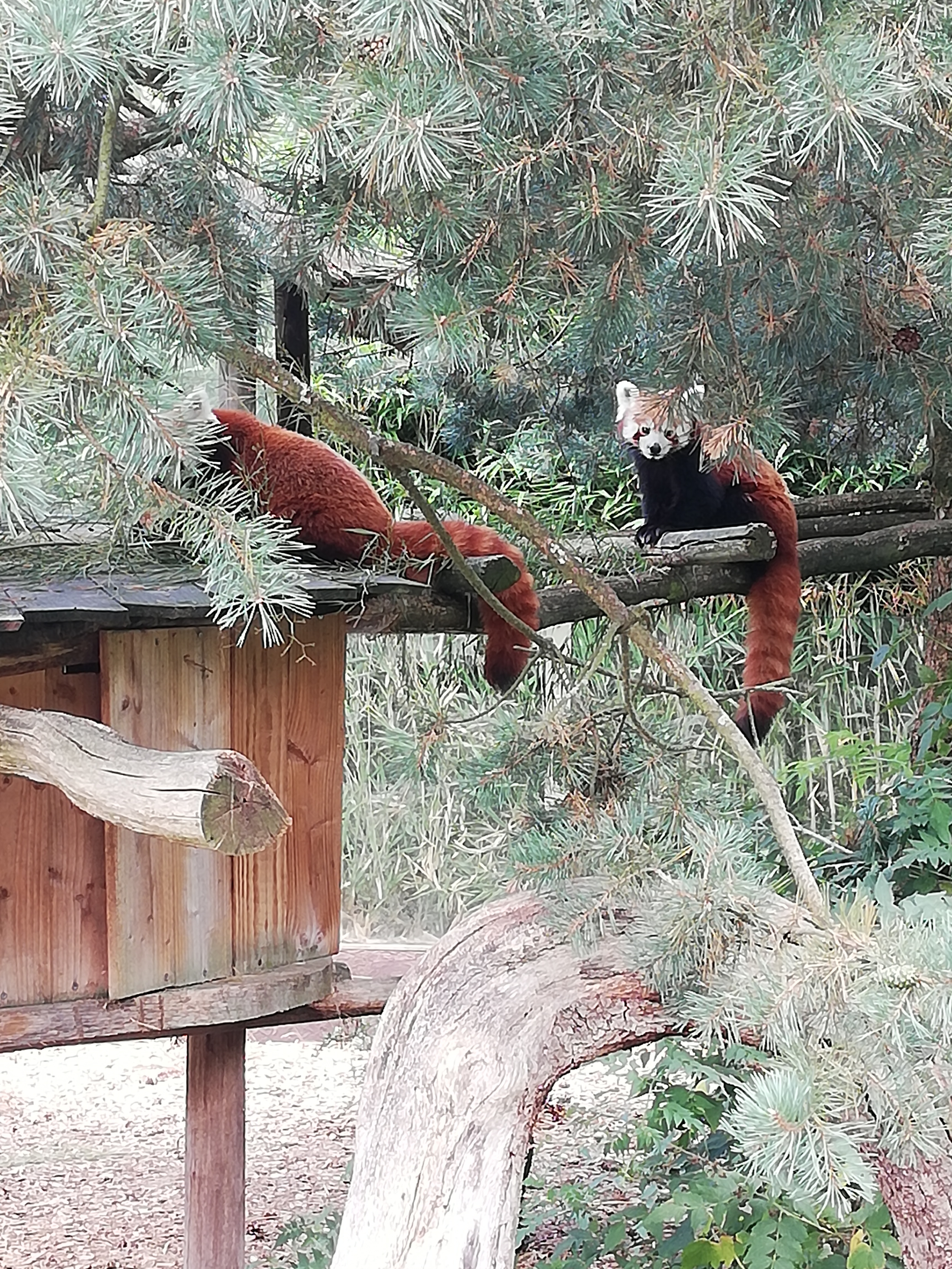 Photo n° 6 de l'avis de Elisabete.a fait le 04/09/2019 à 10:33