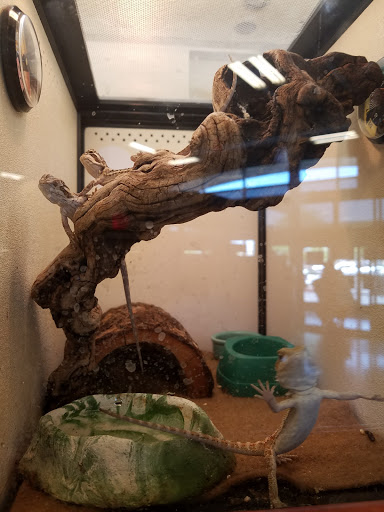 Pet Supply Store «PetSmart», reviews and photos, 466 S Watson Rd, Buckeye, AZ 85326, USA