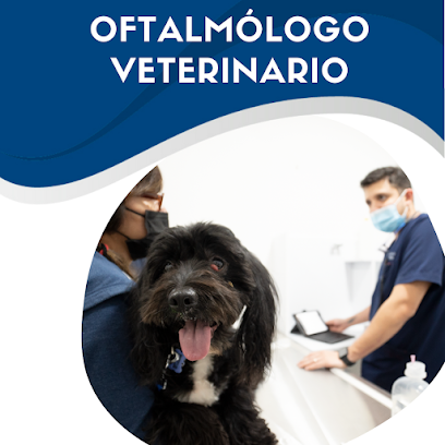Oftalmeds Clínica Veterinaria Oftalmologia Y Cardiología | Cardiólogo Veterinario | Oftalmólogo Veterinario